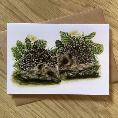 Baby Hedgehogs Greetings Card