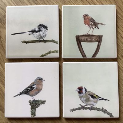 Set of 4 Garden Birds Coaster Set
