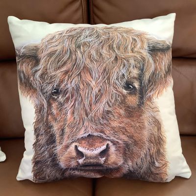 Harry the Highland Cow Luxury Faux Suede Cushion (Square)