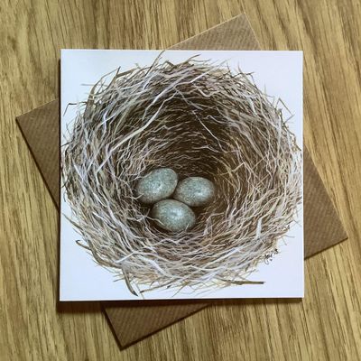 &quot;New Beginnings&quot; Nest with Eggs Greetings Card