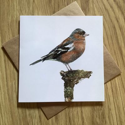 Spring Chaffinch Greetings Card