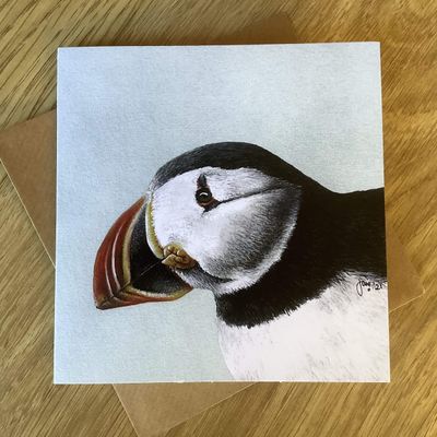 Polly the Sea Parrot Greetings Card