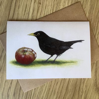 Hungry Blackbird Greetings Card