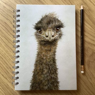 Eddy the Emu A5 Journal