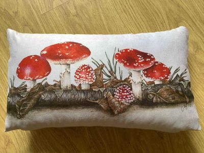 Magical Fly Agaric Toadstools Luxury Faux Suede Cushion (oblong)