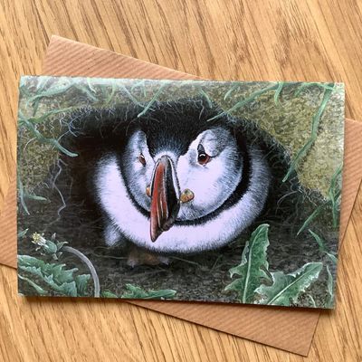 &ldquo;Tommy Noddy&rdquo; Farne Island Puffin Greetings Card