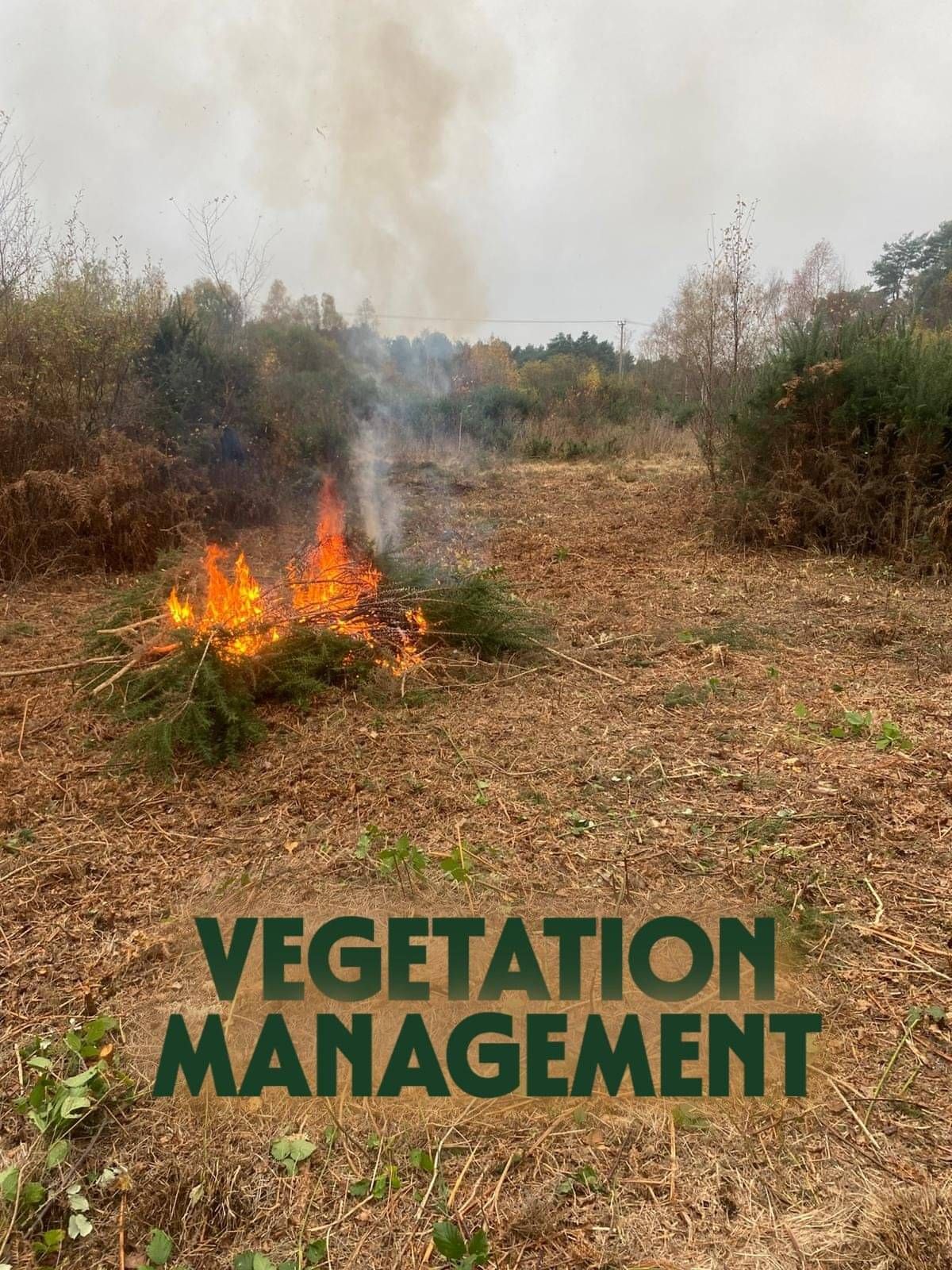 Vegetation management in Devon