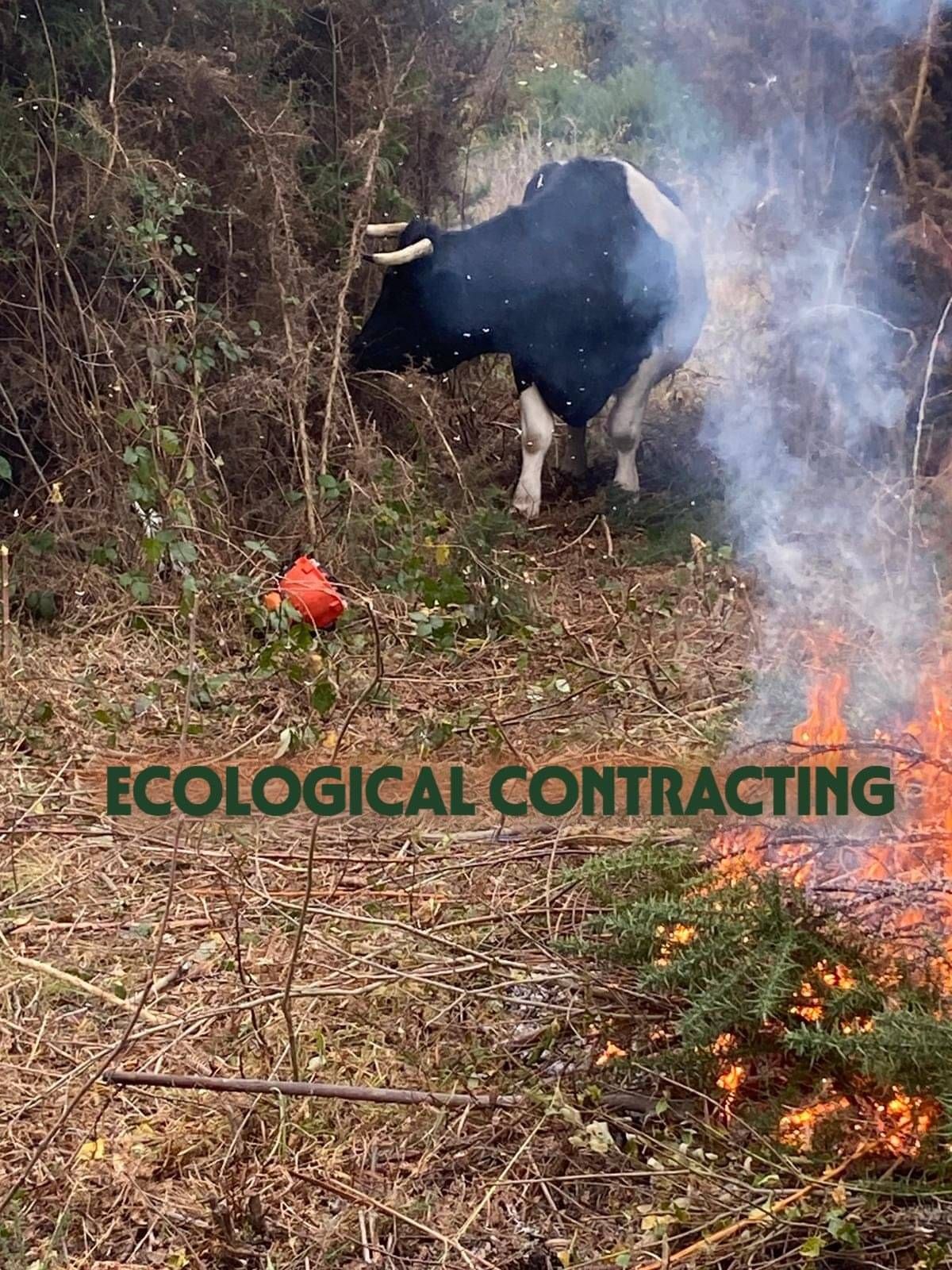 ECOLOGICAL CONTRACTING