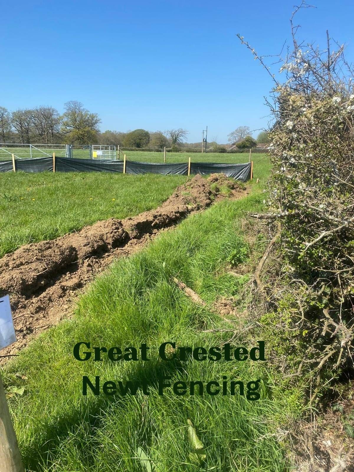 Reptile fence installation