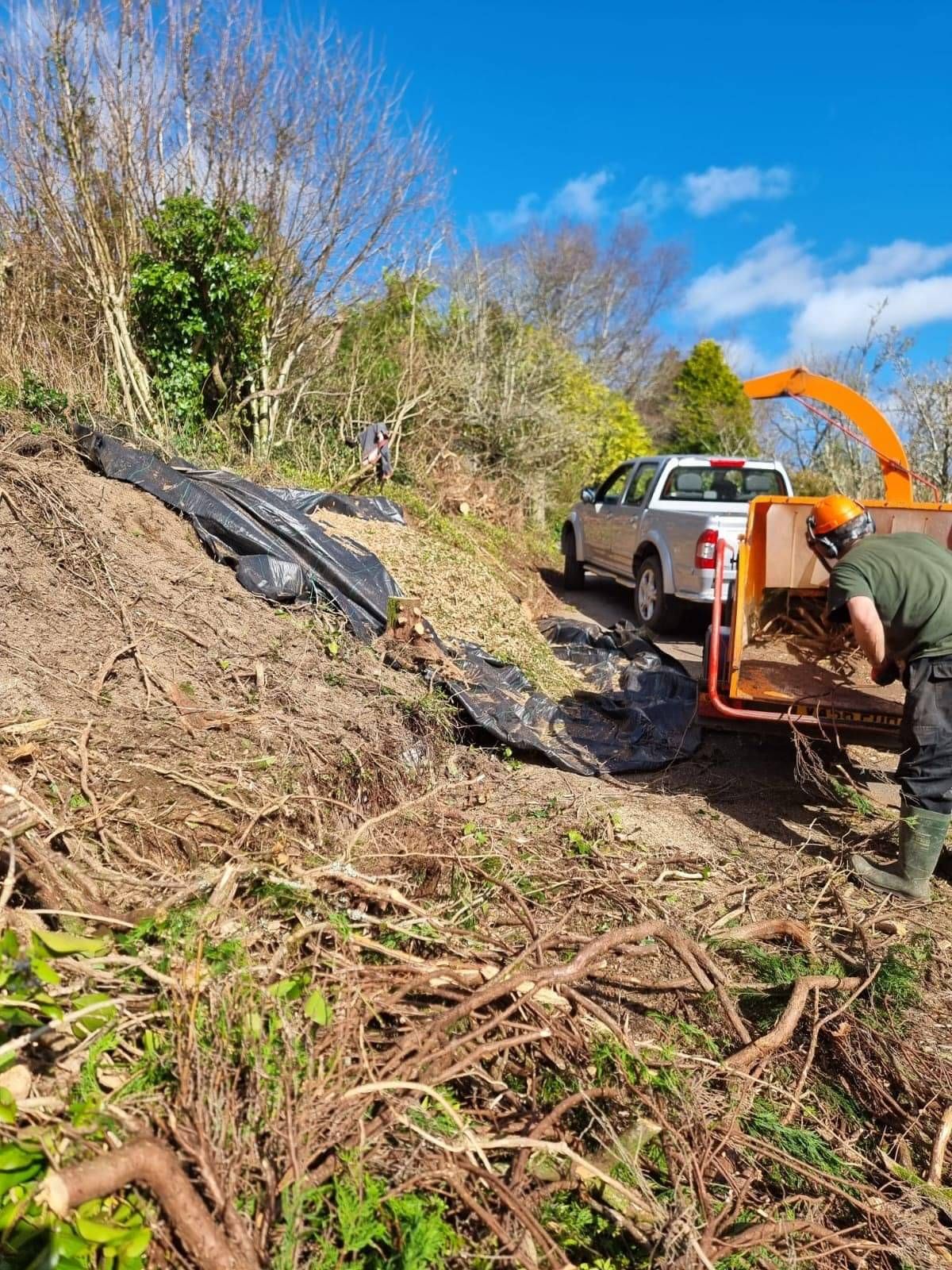 Wood nchipping in Ivybridge