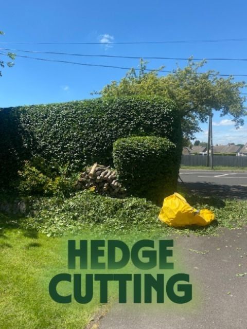 Hedge trimming