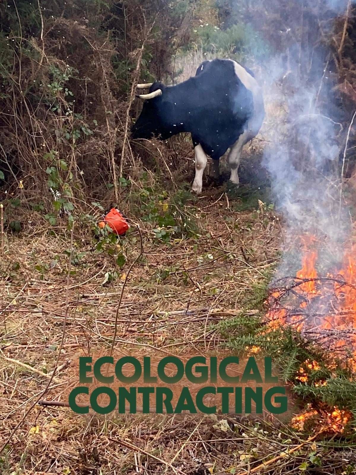 Ecological contracting