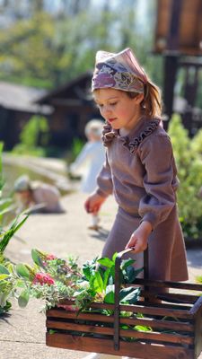 Pippenhill in Rosewood