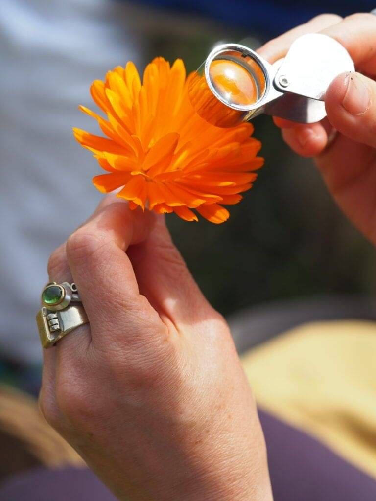 Children's Forest Lammas Summer Celebration on the Land at Hackhurst Farm