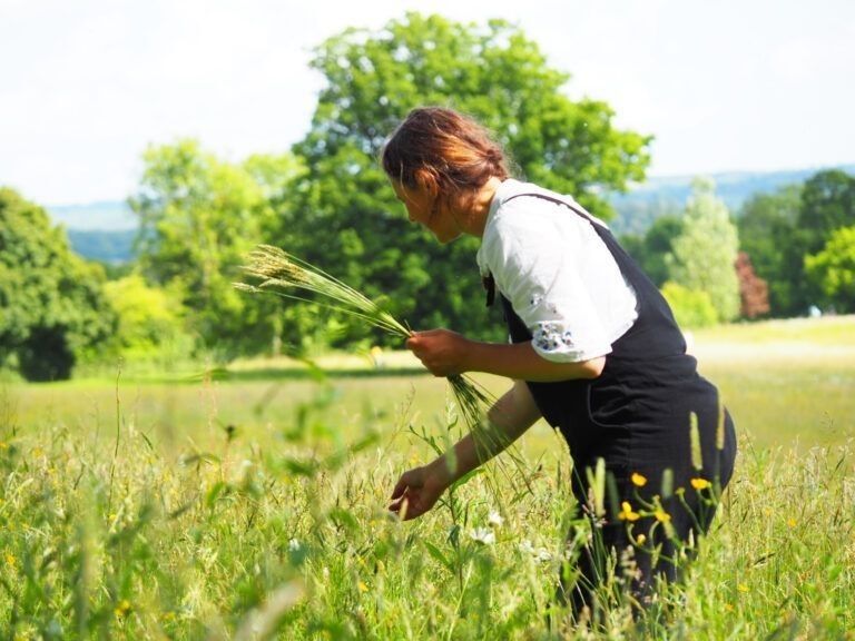 Children's Forest Lammas Summer Celebration on the Land at Hackhurst Farm