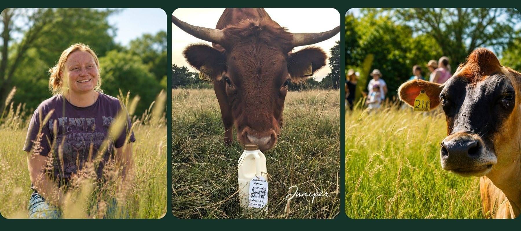 Micro Dairy by Butterworth Farmers at Hackhurst Farm