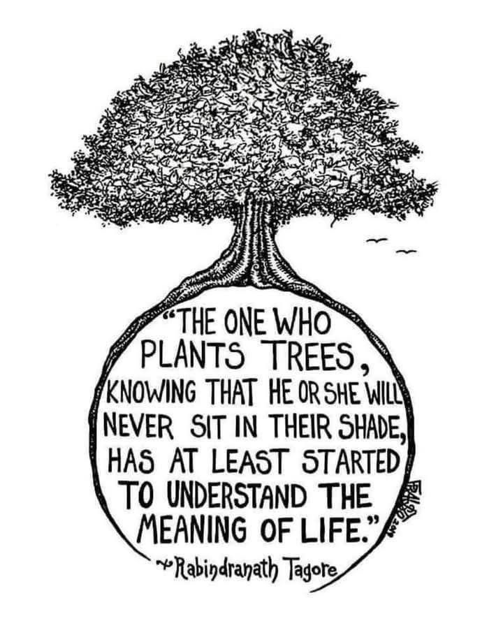 Planting Trees at Hackhurst Farm