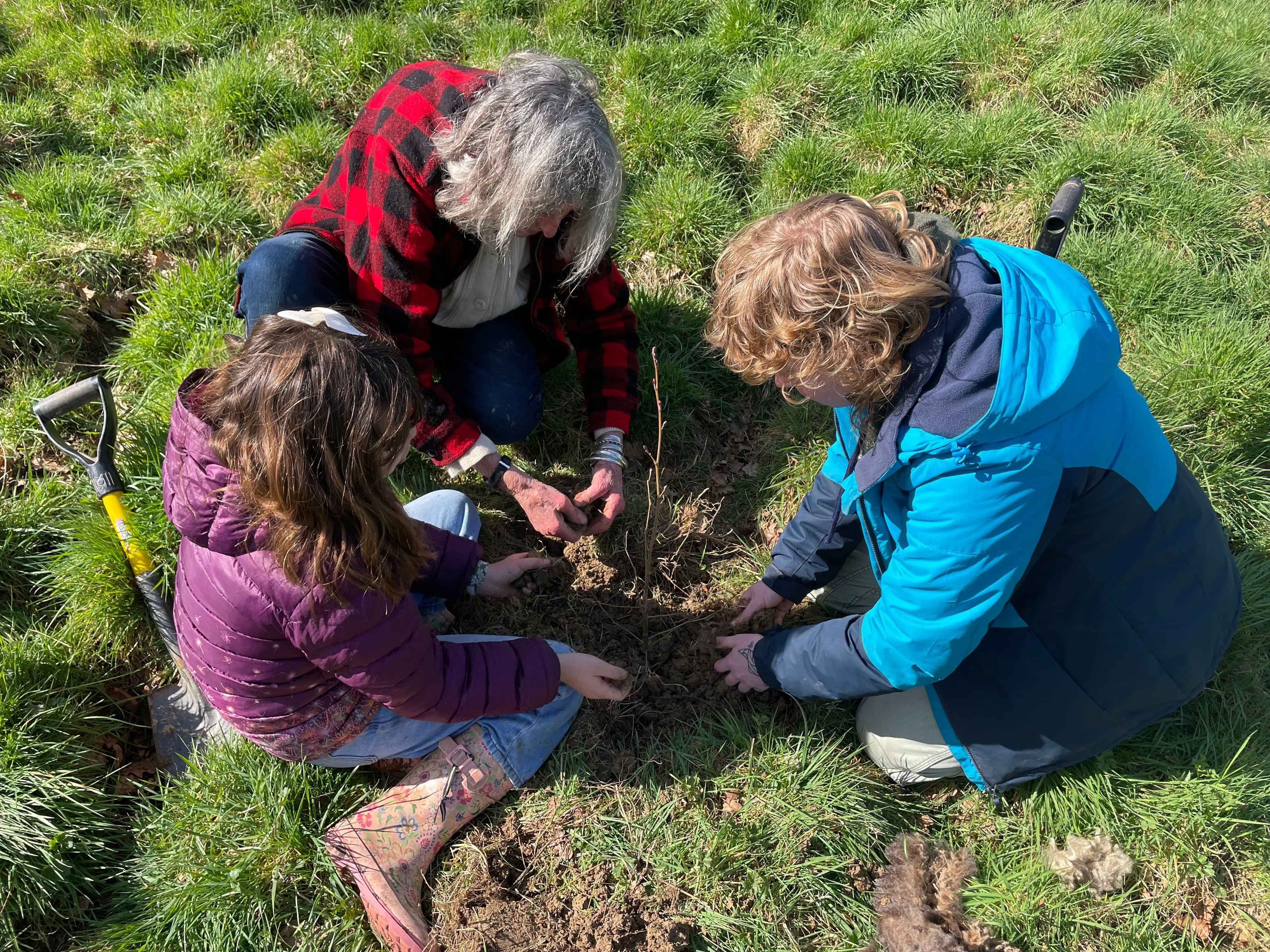 Community Tree Planting Day at Hackhurst Farm with Children's Forest