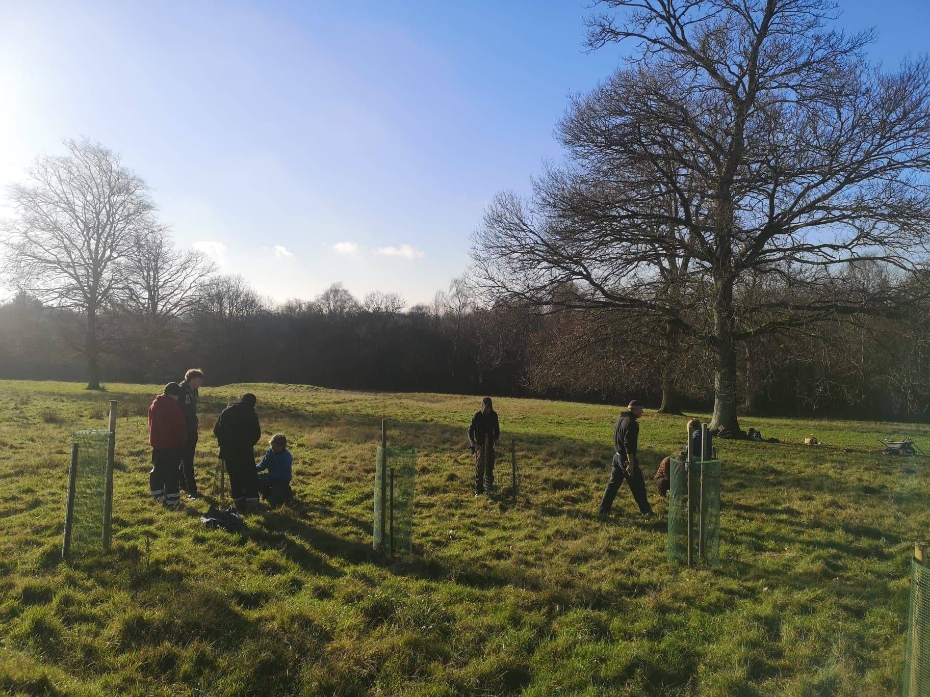 Community Tree Planting Day at Hackhurst Farm with Children's Forest