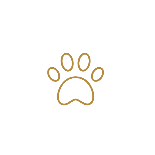Pet Friendly