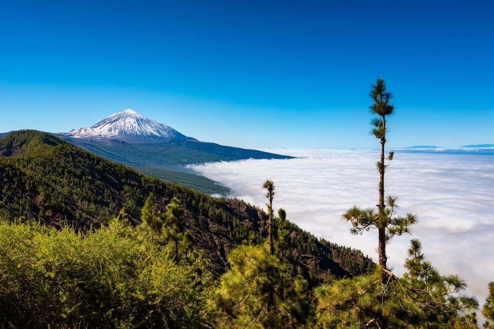 Tenerife Holidays from Newcastle Airport with JLM Travel